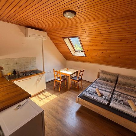 Apartmán Hisa Patricija Soča Exteriér fotografie