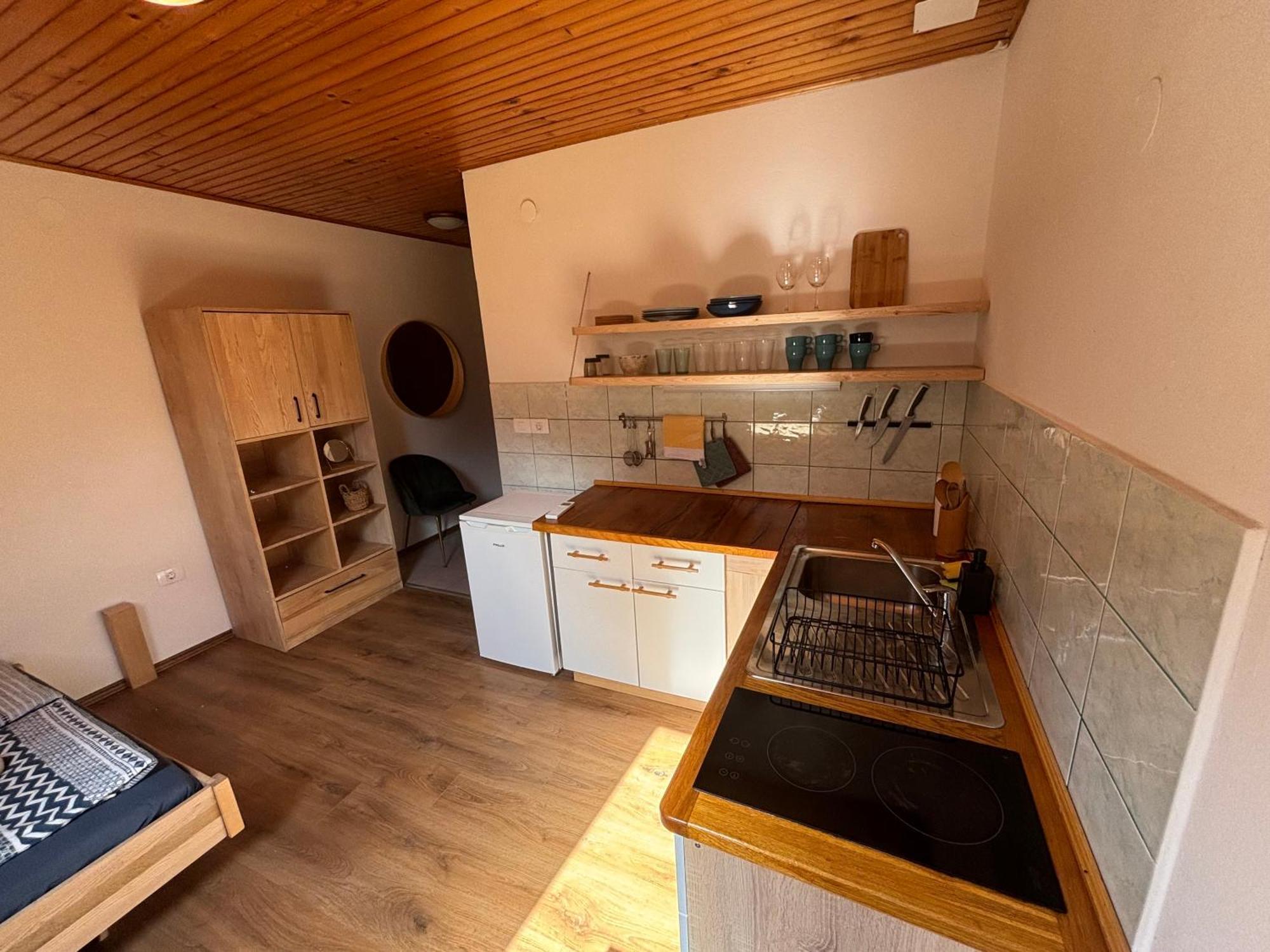 Apartmán Hisa Patricija Soča Exteriér fotografie