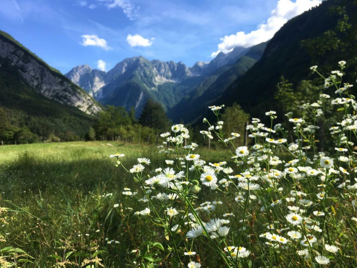 Apartmán Hisa Patricija Soča Exteriér fotografie